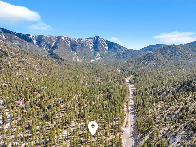 Lee Canyon Rd, Mount Charleston, NV 89124