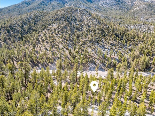 Lee Canyon Rd, Mount Charleston, NV 89124