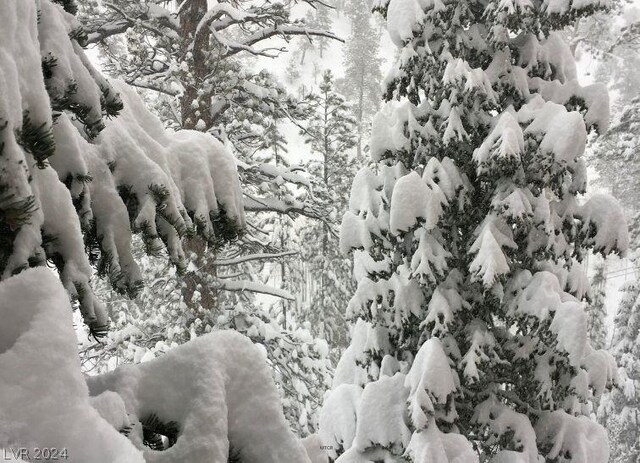 Lee Canyon Rd, Mount Charleston, NV 89124