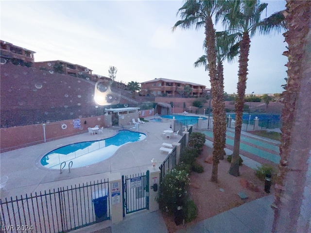 view of pool with a patio area