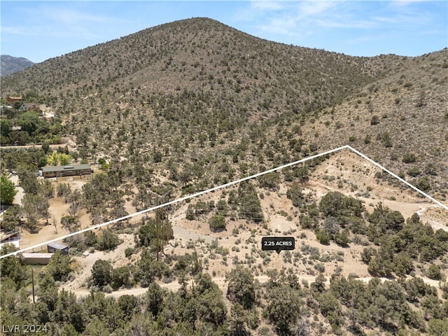 18821 State Highway 160, Las Vegas, NV 89161 - photo 19