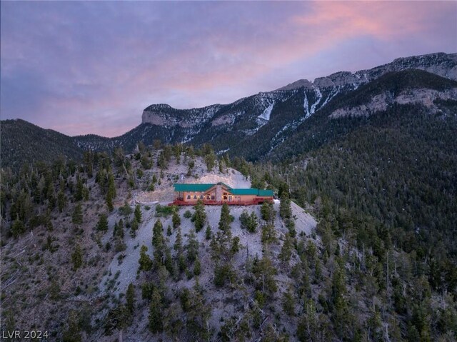 4910 Cougar Ridge Trl, Mount Charleston, NV 89124 - mountain view