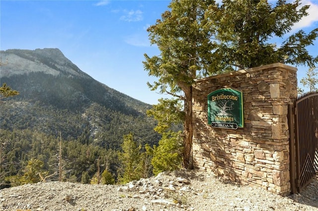 4910 Cougar Ridge Trl, Mount Charleston, NV 89124 - view of mountain background