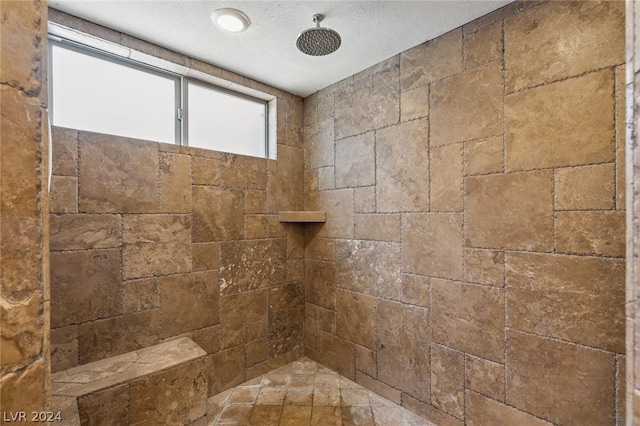 4910 Cougar Ridge Trl, Mount Charleston, NV 89124 - bathroom featuring tiled shower