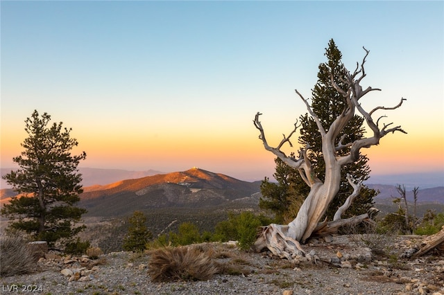 view of mountain feature