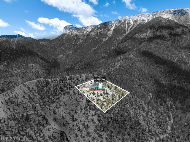 4910 Cougar Ridge Trl, Mount Charleston, NV 89124 - view of mountain background