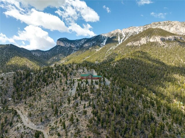 4910 Cougar Ridge Trl, Mount Charleston, NV 89124 - view of mountain backdrop