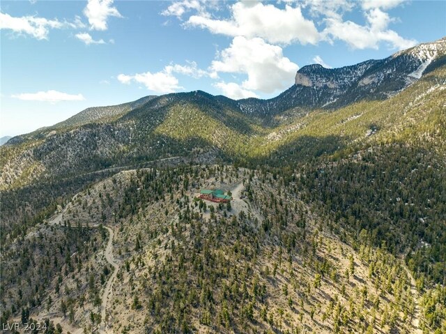 4910 Cougar Ridge Trl, Mount Charleston, NV 89124 - mountain view with a forest