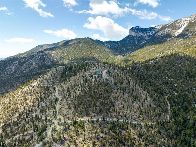 4910 Cougar Ridge Trl, Mount Charleston, NV 89124 - view of mountain backdrop