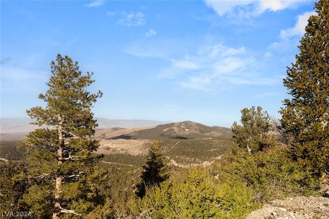 4910 Cougar Ridge Trl, Mount Charleston, NV 89124 - view of mountain background