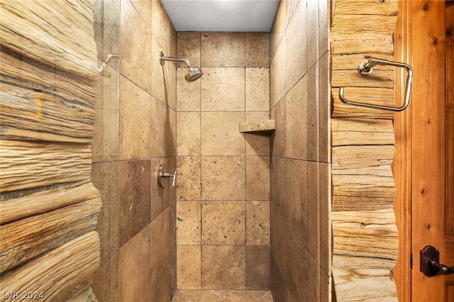 room details with tiled shower