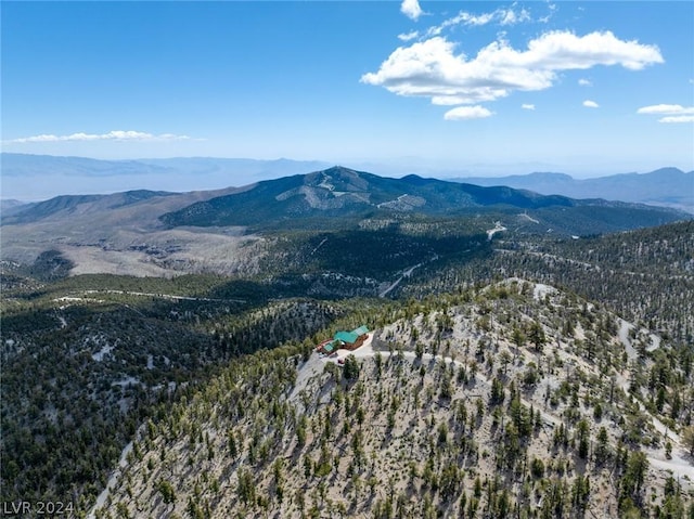4910 Cougar Ridge Trl, Mount Charleston, NV 89124 - view of mountain background