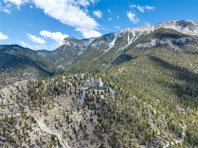 4910 Cougar Ridge Trl, Mount Charleston, NV 89124 - view of mountain background