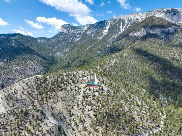 4910 Cougar Ridge Trl, Mount Charleston, NV 89124 - view of mountain backdrop