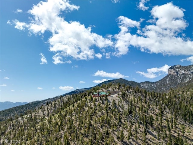 4910 Cougar Ridge Trl, Mount Charleston, NV 89124 - view of mountain backdrop featuring a heavily wooded area