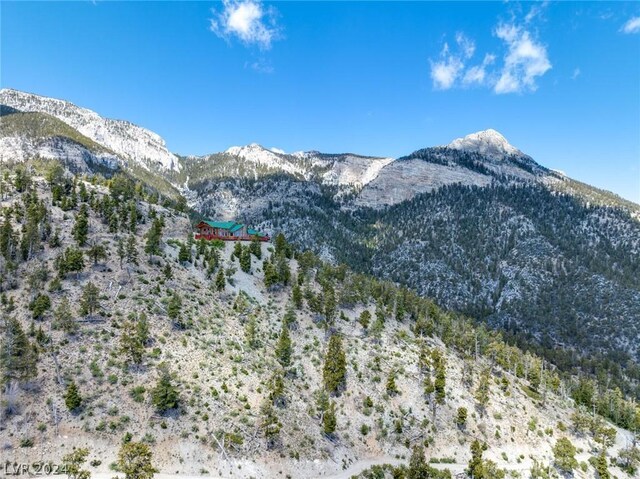 4910 Cougar Ridge Trl, Mount Charleston, NV 89124 - mountain view