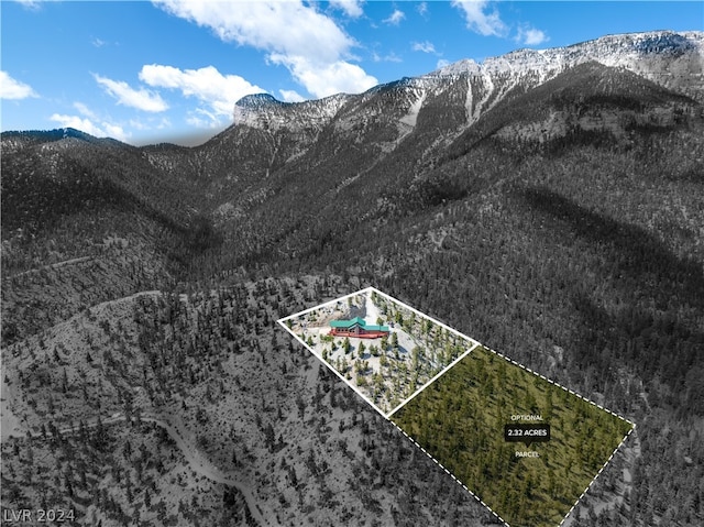 4910 Cougar Ridge Trl, Mount Charleston, NV 89124 - mountain view