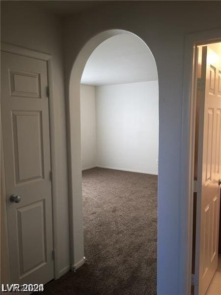 hallway featuring carpet floors