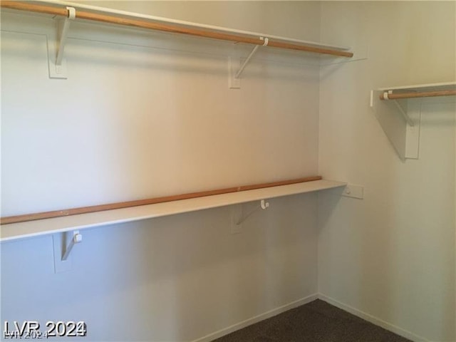 spacious closet with carpet