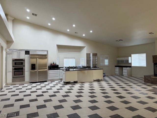 kitchen featuring appliances with stainless steel finishes, high vaulted ceiling, and a wealth of natural light