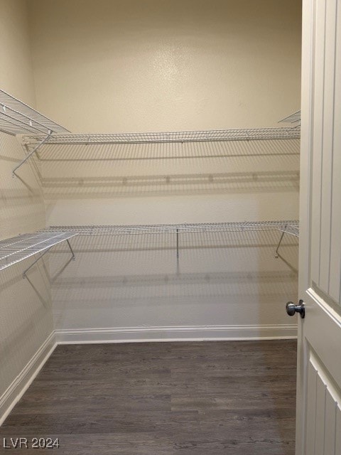 walk in closet with dark hardwood / wood-style floors