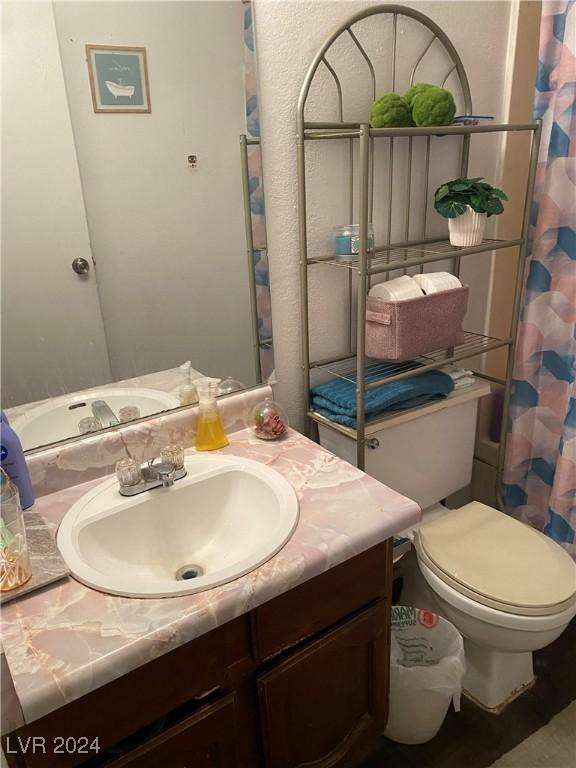 full bath featuring toilet, a shower with shower curtain, and vanity