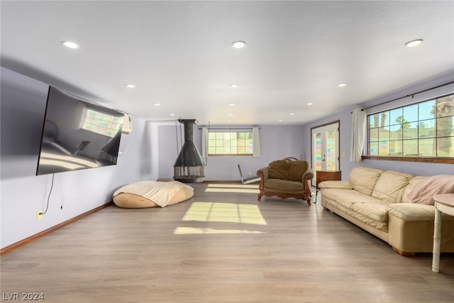 living room with light wood-type flooring