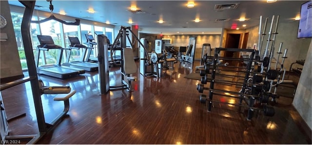 exercise room with dark hardwood / wood-style flooring and plenty of natural light