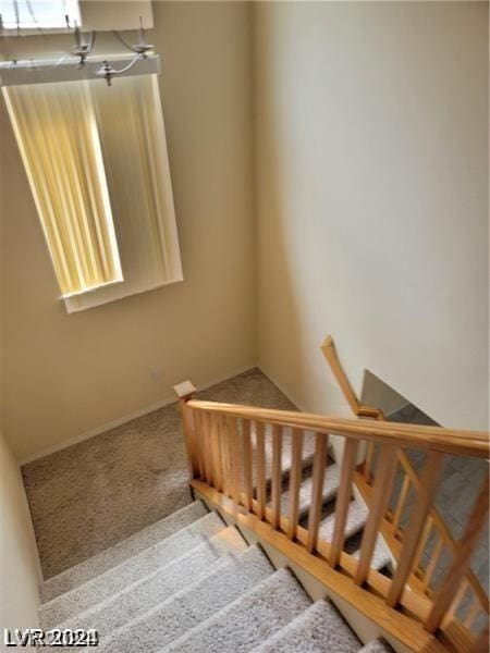 staircase featuring carpet