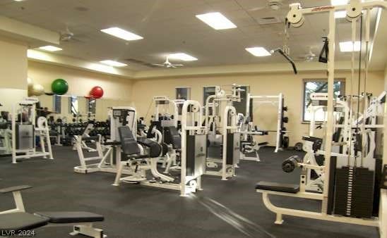 exercise room featuring ceiling fan