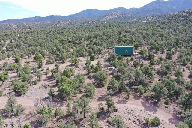 birds eye view of property featuring a mountain view