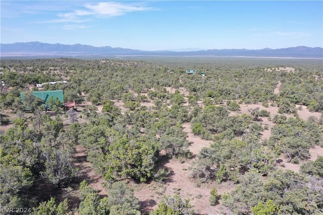 bird's eye view featuring a mountain view