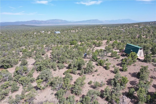 birds eye view of property featuring a mountain view