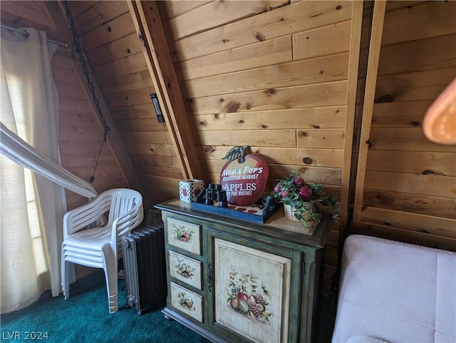 details featuring carpet flooring, radiator heating unit, and wood walls