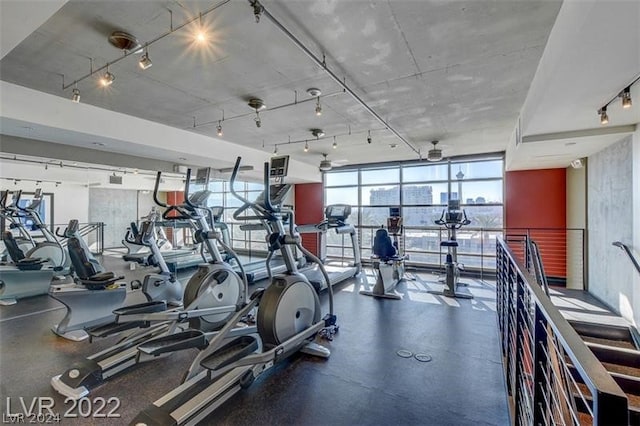 gym with floor to ceiling windows, track lighting, and ceiling fan