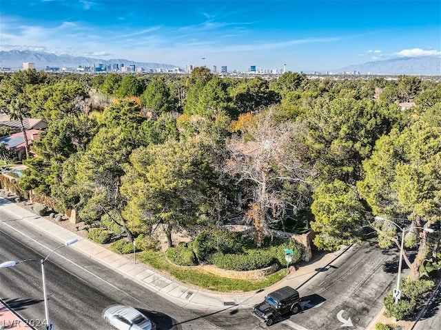 birds eye view of property with a mountain view