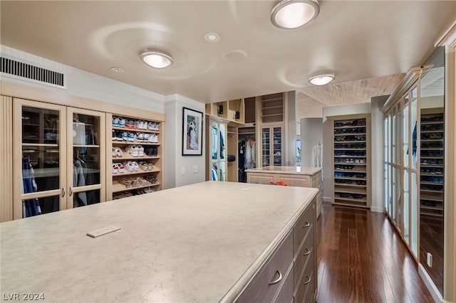 walk in closet featuring dark hardwood / wood-style floors