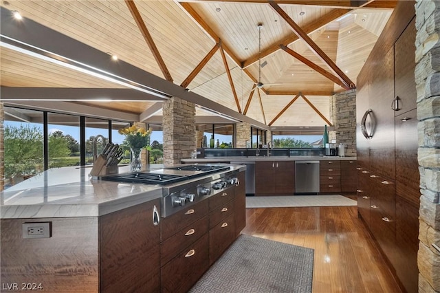 kitchen featuring hardwood / wood-style flooring, dark brown cabinets, stainless steel appliances, and beamed ceiling