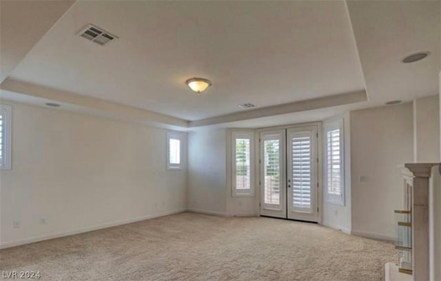 unfurnished room with light carpet, a wealth of natural light, and a tray ceiling