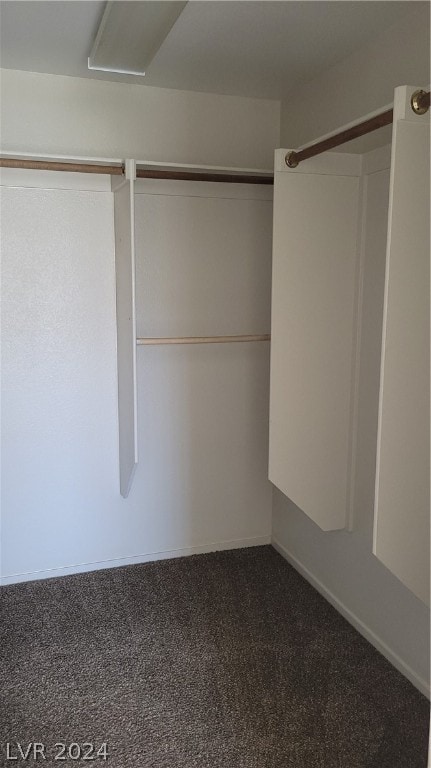 walk in closet with carpet floors