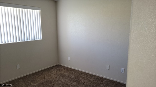 spare room with a wealth of natural light and carpet flooring