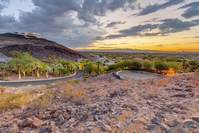 1626 Liege Dr, Henderson, NV 89012 - photo 15