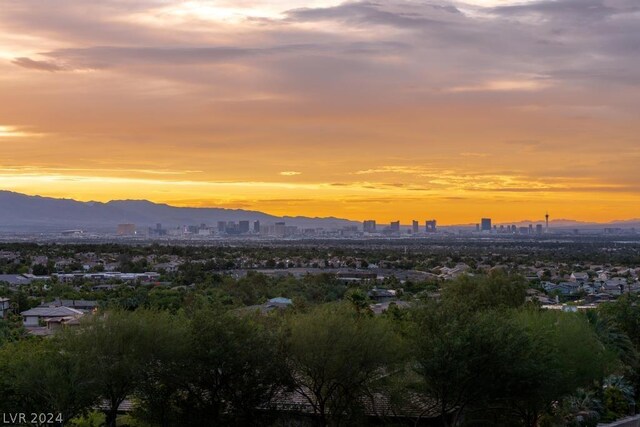 1626 Liege Dr, Henderson, NV 89012 - photo 17