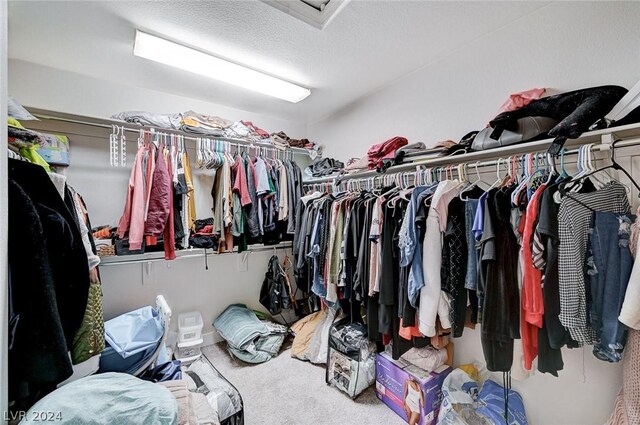 walk in closet featuring carpet floors