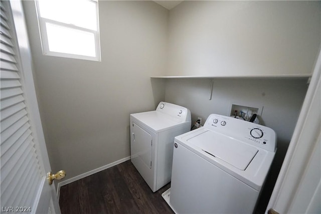 laundry room featuring washer and dryer and dark wood-type flooring