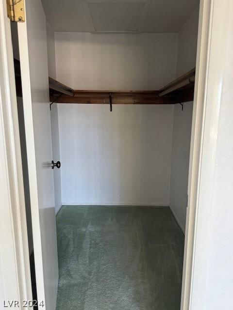 spacious closet featuring dark colored carpet