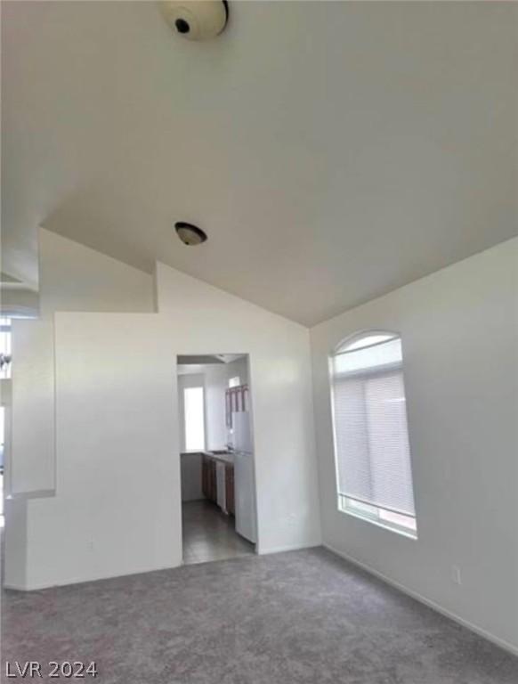 empty room featuring lofted ceiling, plenty of natural light, and carpet floors