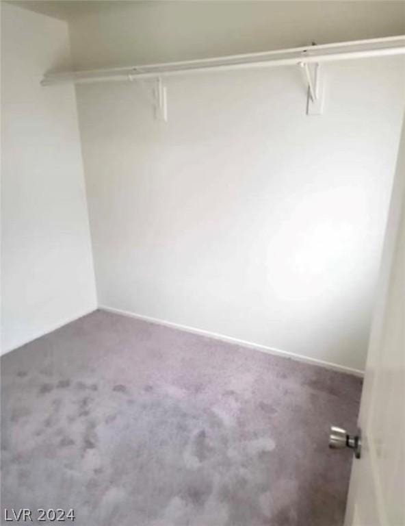 walk in closet featuring carpet flooring