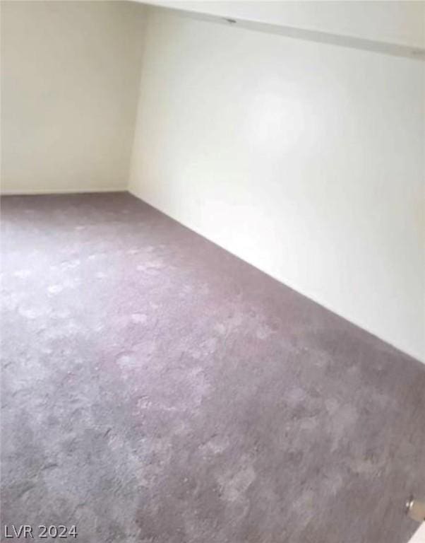 spare room featuring carpet flooring