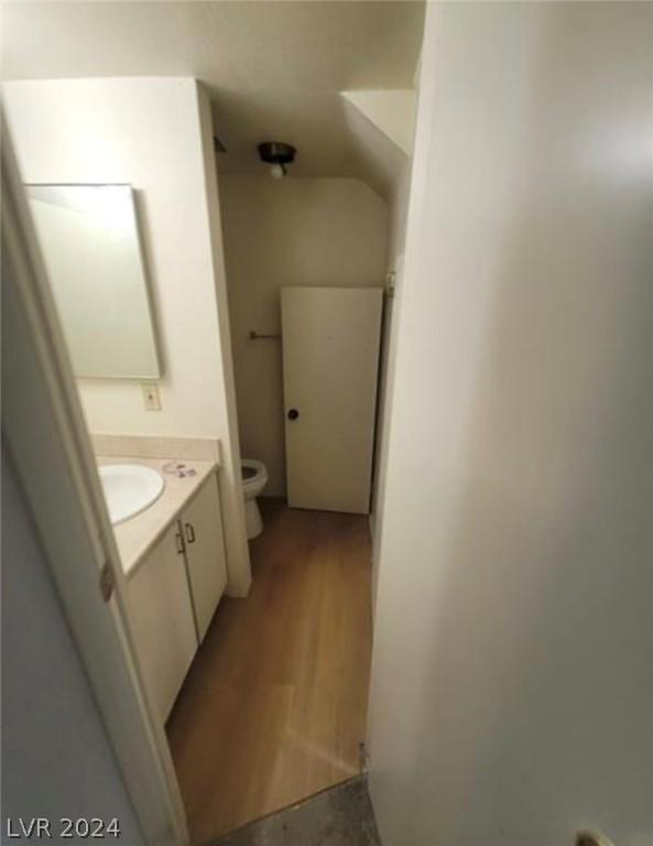 bathroom with vanity, wood-type flooring, and toilet